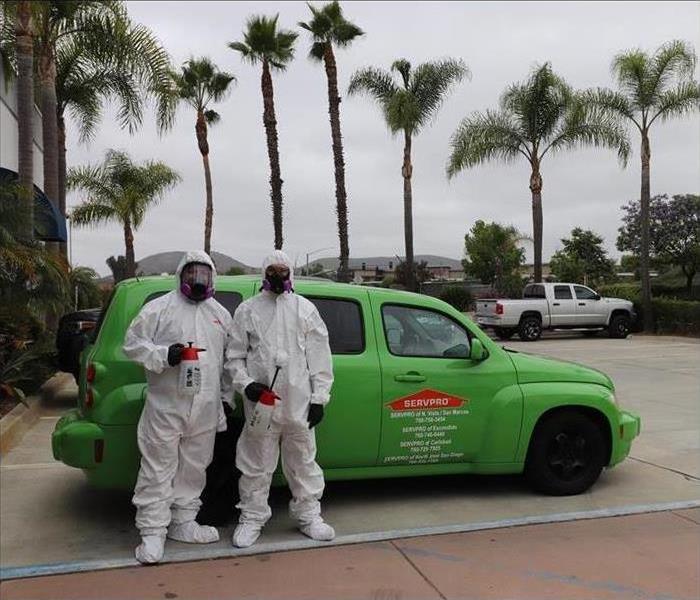 Employees suited in personal protective equipment before mold removal