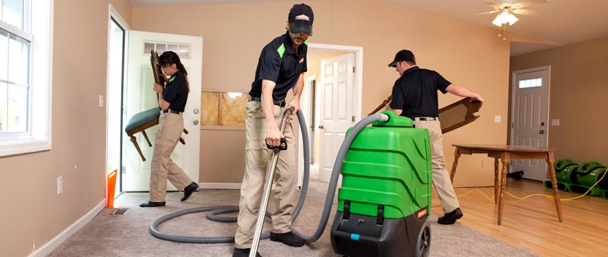 Julian, CA cleaning services